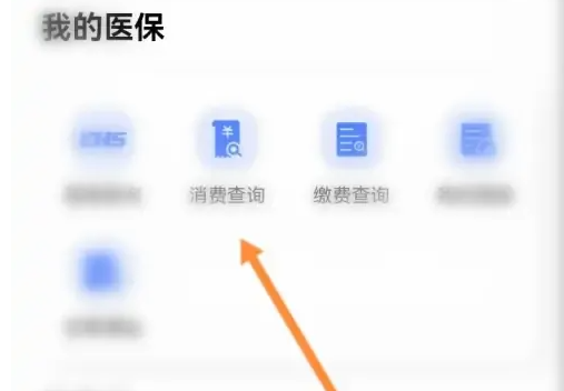 i厦门怎么查看就诊记录 i厦门查看医保的消费记录方法