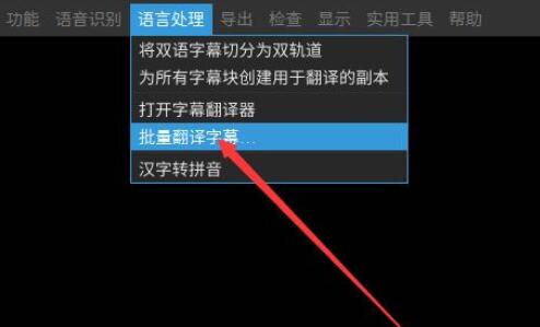 arctime怎么批量翻译字幕 arctime批量翻译字幕的方法