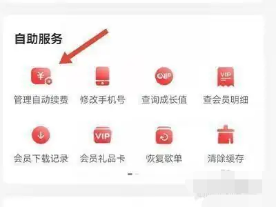 网易云音乐黑胶vip自动续费怎么关闭 网易云音乐黑胶vip自动续费取消方法