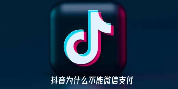 抖音为什么不能微信支付 不能微信支付的操作方法