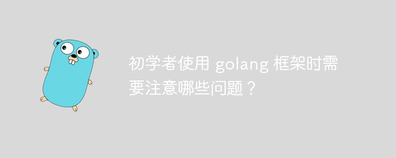 初学者使用 golang 框架时需要注意哪些问题？