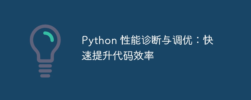 Python 性能诊断与调优：快速提升代码效率