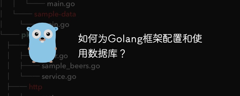 如何为Golang框架配置和使用数据库？