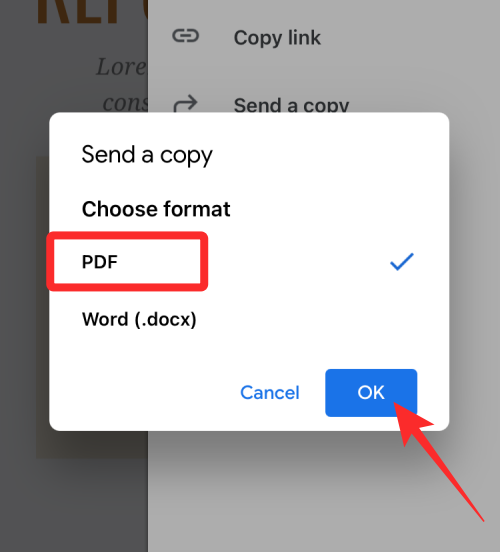 在 iPhone 上将 Google Docs 文件保存为 PDF 的 2 种方法