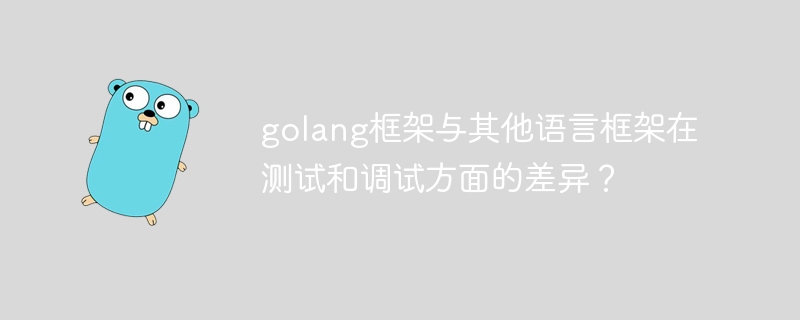 golang框架与其他语言框架在测试和调试方面的差异？