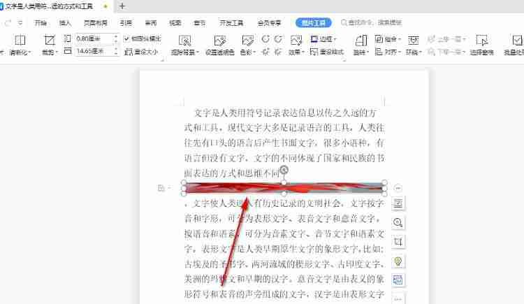 wps中图片只显示一行怎么办 wps中图片显示不全怎么调整 