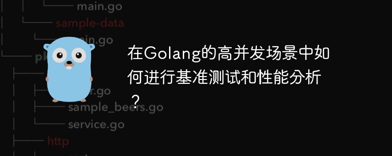 在Golang的高并发场景中如何进行基准测试和性能分析？