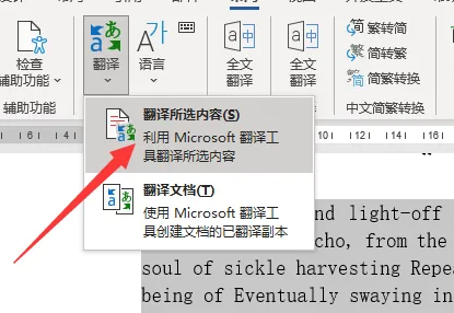 word2019翻译功能怎么用 word2019翻译功能使用教程