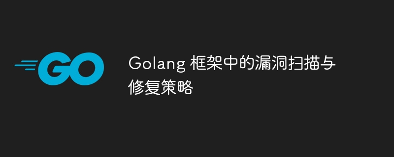 Golang 框架中的漏洞扫描与修复策略