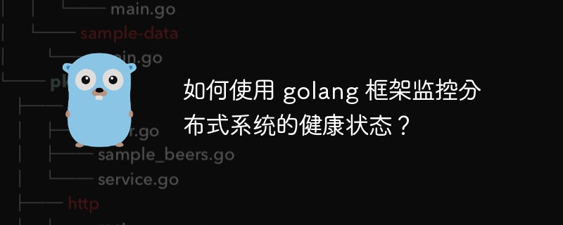 如何使用 golang 框架监控分布式系统的健康状态？