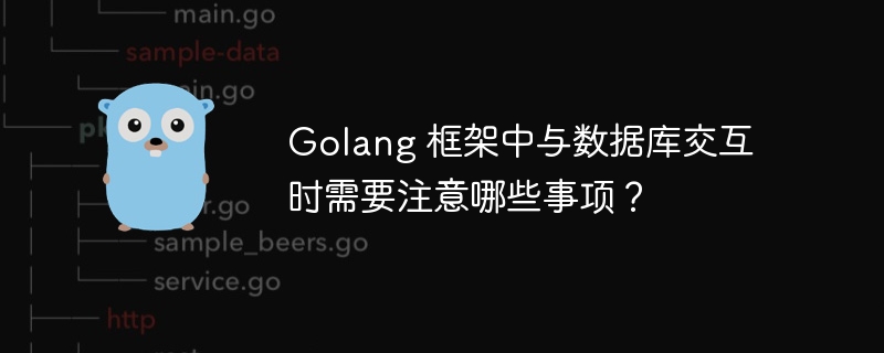 Golang 框架中与数据库交互时需要注意哪些事项？