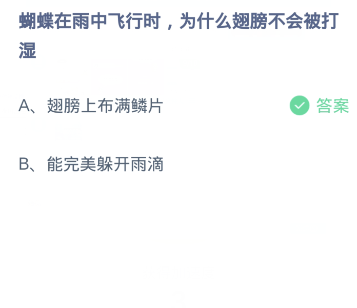 蚂蚁庄园3月21日：蝴蝶在雨中飞行时为什么翅膀不会被打湿