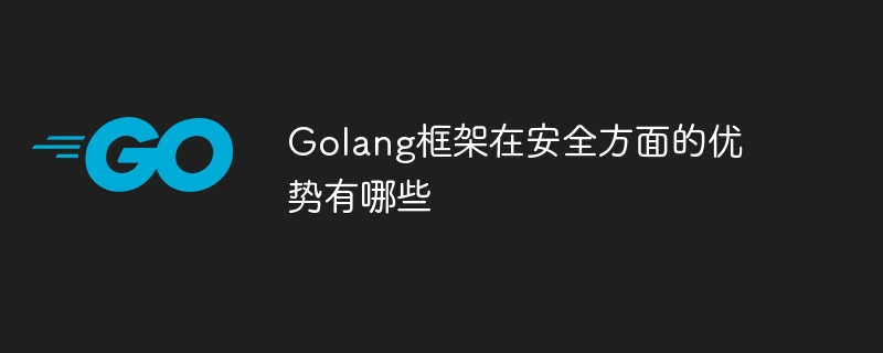 Golang框架在安全方面的优势有哪些