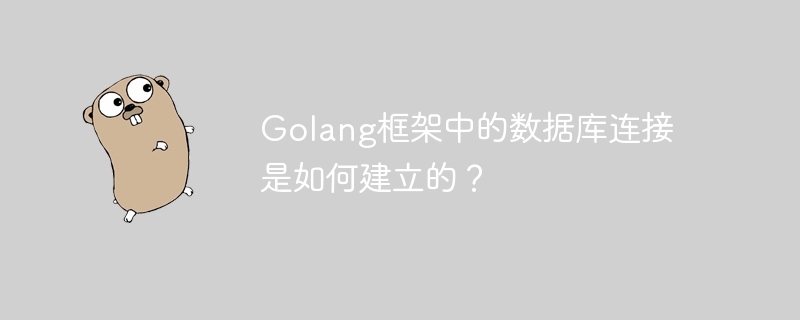 Golang框架中的数据库连接是如何建立的？