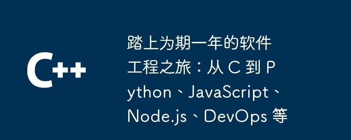 踏上为期一年的软件工程之旅：从 C 到 Python、JavaScript、Node.js、DevOps 等