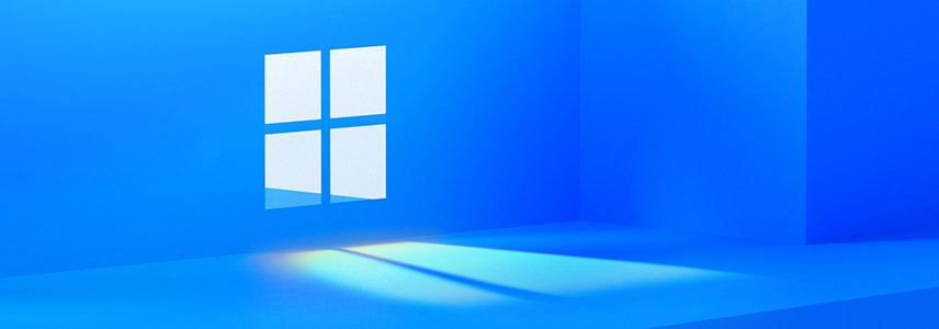 windows11选择哪个版本? Win11家庭版与专业版深度对比