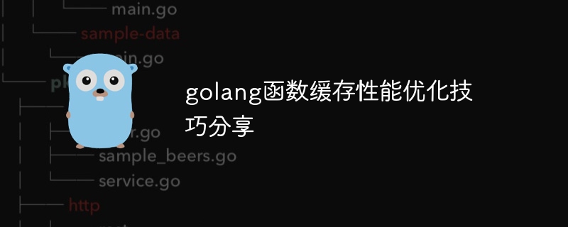 golang函数缓存性能优化技巧分享