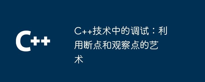 C++技术中的调试：利用断点和观察点的艺术