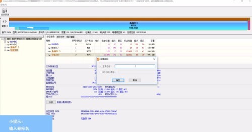 DiskGenius怎么设置卷标_DiskGenius设置卷标的操作方法