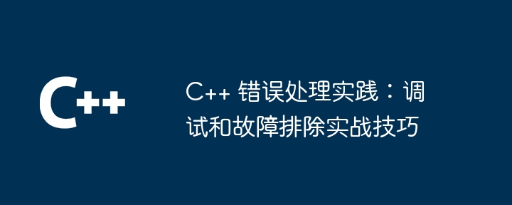 C++ 错误处理实践：调试和故障排除实战技巧