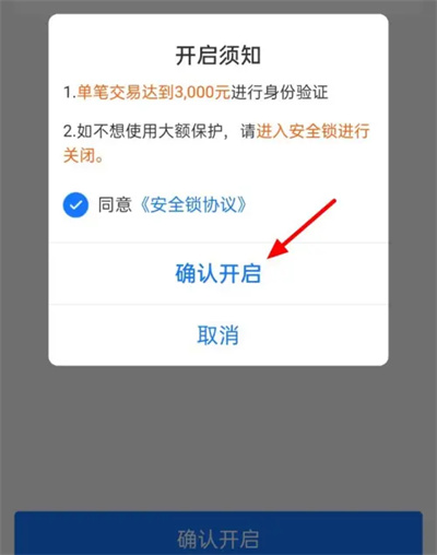 支付宝怎么设置大额保护 支付宝设置大额保护步骤介绍