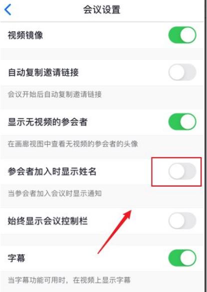Zoom加入会议怎么不显示名字 Zoom会议关闭名字显示