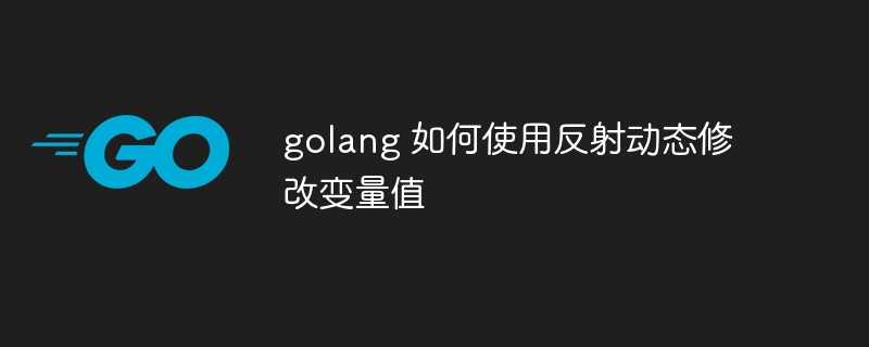 golang 如何使用反射动态修改变量值