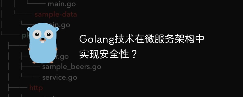 Golang技术在微服务架构中实现安全性？