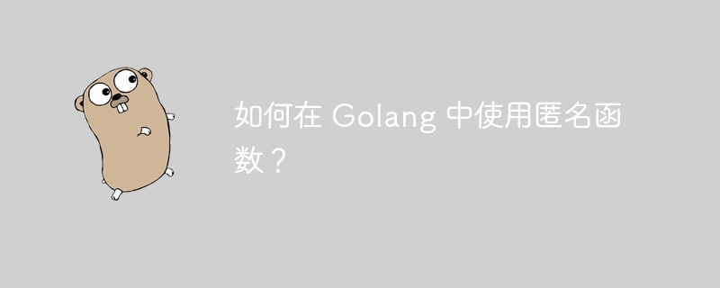 如何在 Golang 中使用匿名函数？