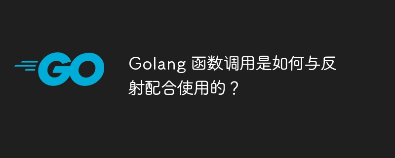 Golang 函数调用是如何与反射配合使用的？