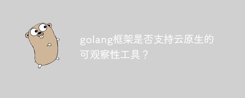 golang框架是否支持云原生的可观察性工具？