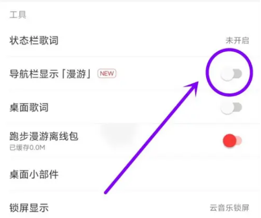 网易云音乐在哪里关闭底部漫游功能 取消底部漫游流程一览