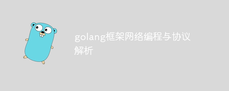 golang框架网络编程与协议解析