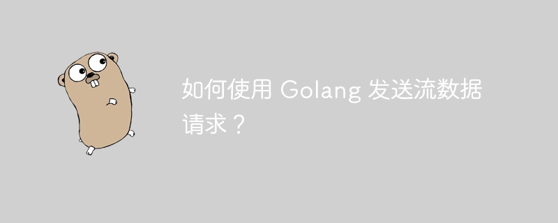 如何使用 Golang 发送流数据请求？