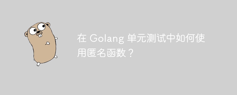 在 Golang 单元测试中如何使用匿名函数？