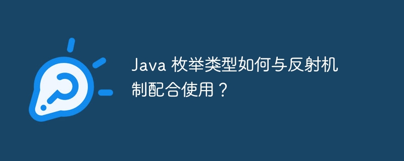 Java 枚举类型如何与反射机制配合使用？