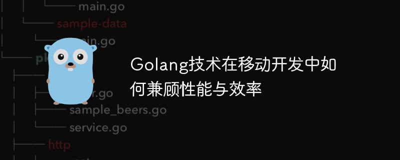 Golang技术在移动开发中如何兼顾性能与效率