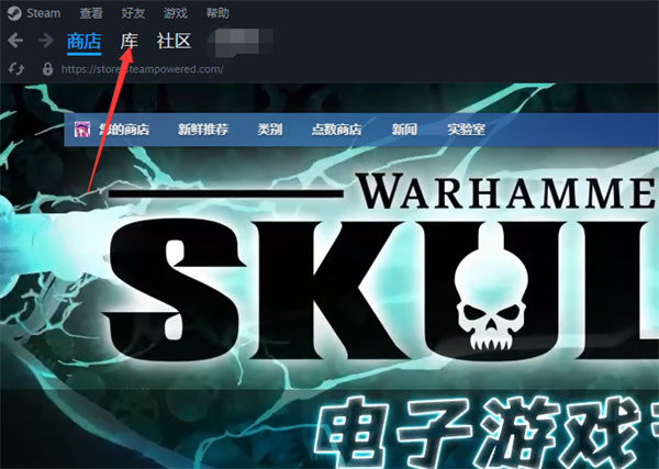 Steam游戏时长怎么查看_Steam游戏时间查询步骤介绍