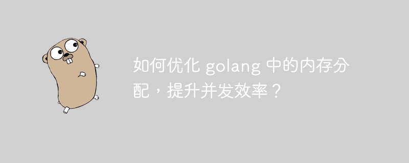 如何优化 golang 中的内存分配，提升并发效率？