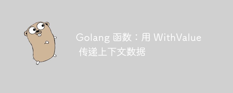 Golang 函数：用 WithValue 传递上下文数据