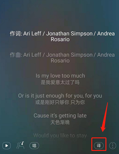 网易云音乐怎么关掉歌词翻译 歌词翻译关闭方法