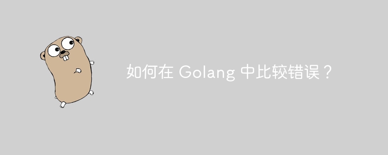 如何在 Golang 中比较错误？