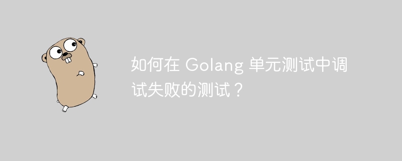 如何在 Golang 单元测试中调试失败的测试？