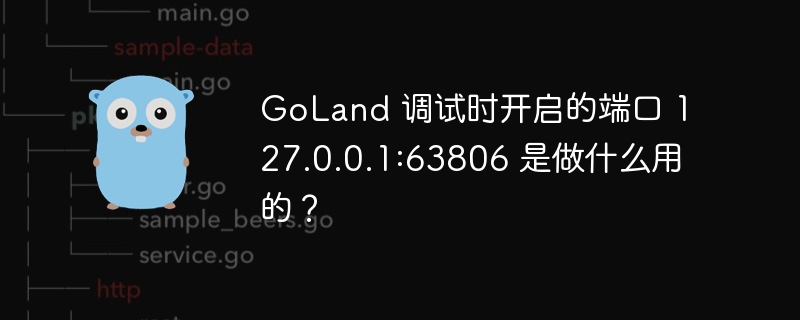 GoLand 调试时开启的端口 127.0.0.1:63806 是做什么用的？