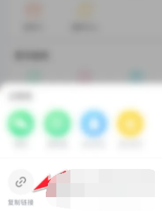 皮皮陪玩怎么复制链接分享 复制链接分享的操作方法