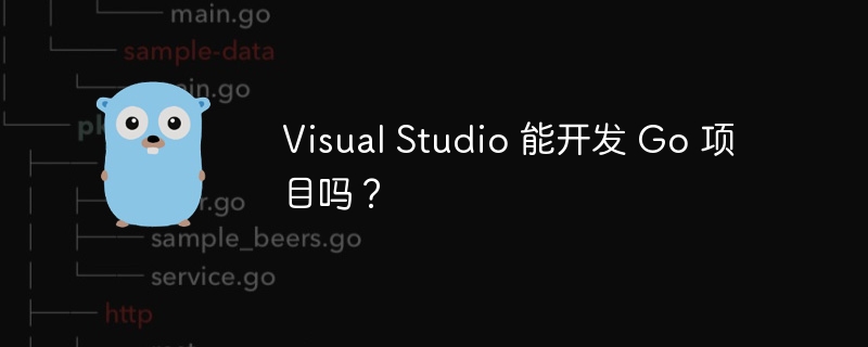 Visual Studio 能开发 Go 项目吗？