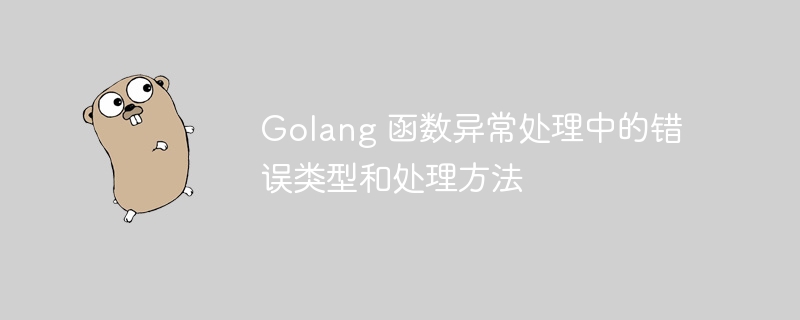 Golang 函数异常处理中的错误类型和处理方法