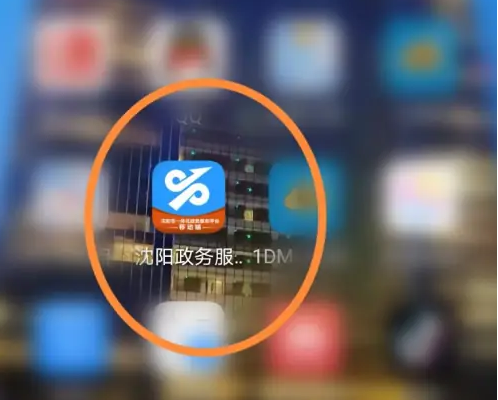 沈阳政务服务app怎么办查询4959补贴 沈阳政务服务社保补贴查询方法