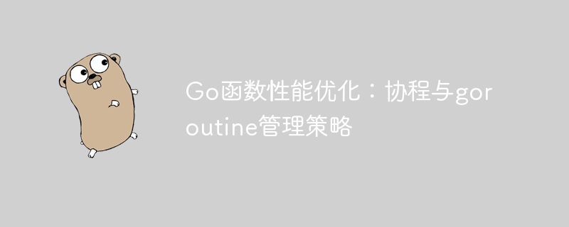 Go函数性能优化：协程与goroutine管理策略