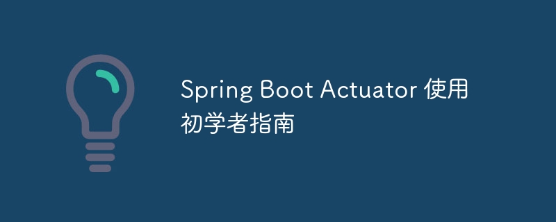 Spring Boot Actuator 使用初学者指南